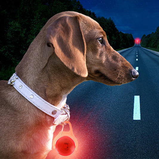 GlowSafe LED Pet Collar Light | Night Visibility for Dogs & Cats