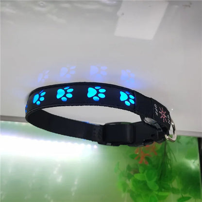 LED Light-Up Dog Collar – Adjustable Night Safety Collar