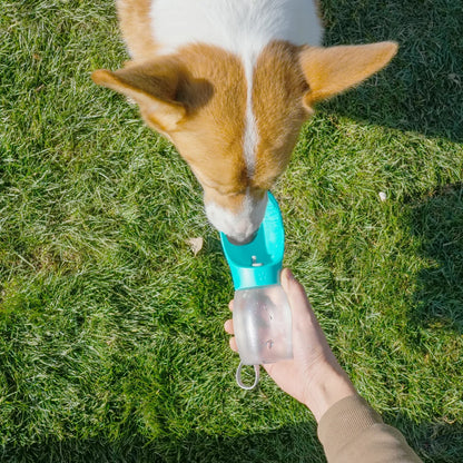 300ml Portable Dog and Cat Water Bottle